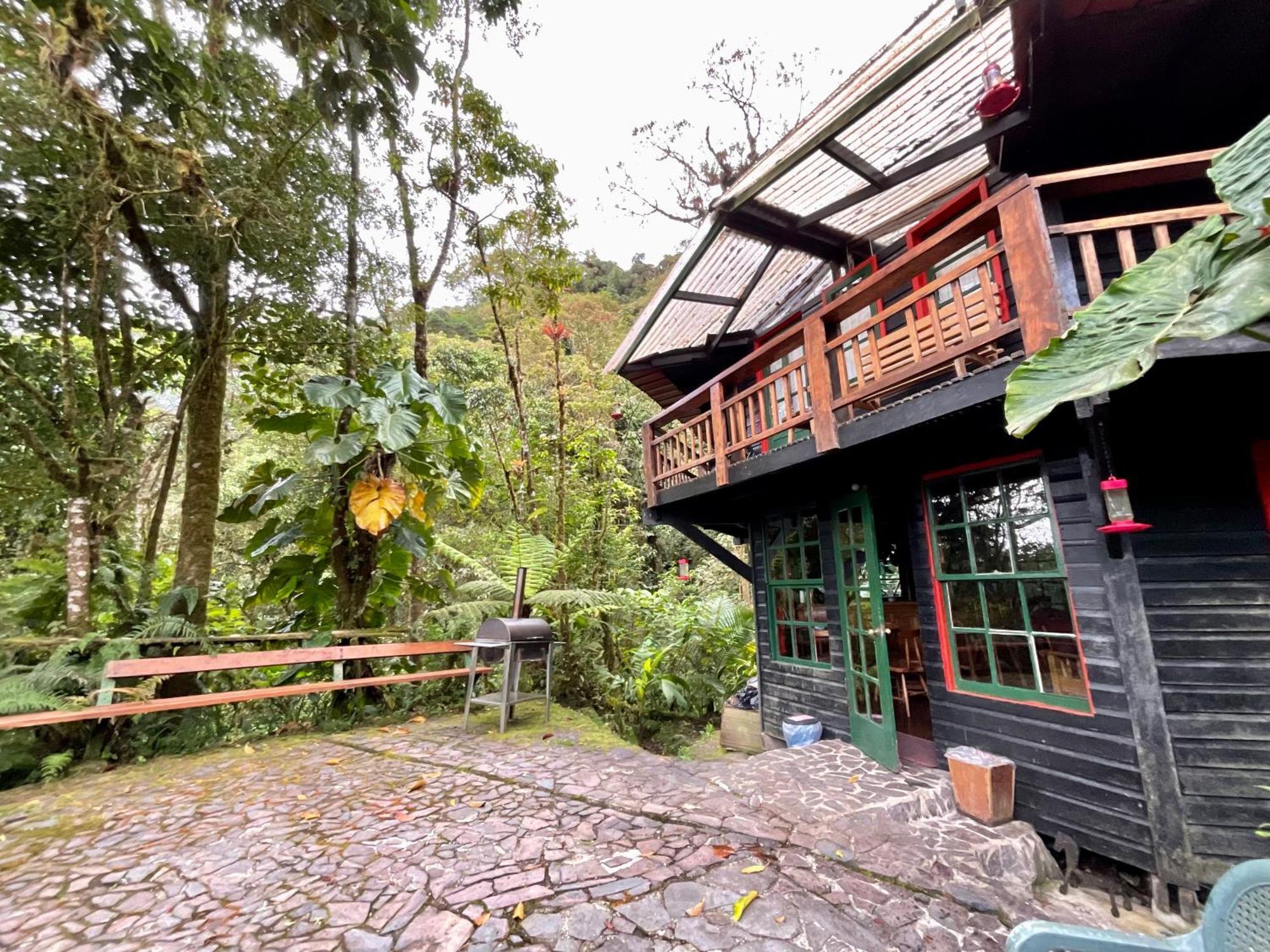 קארו פונטה Los Quetzales Ecolodge & Spa מראה חיצוני תמונה