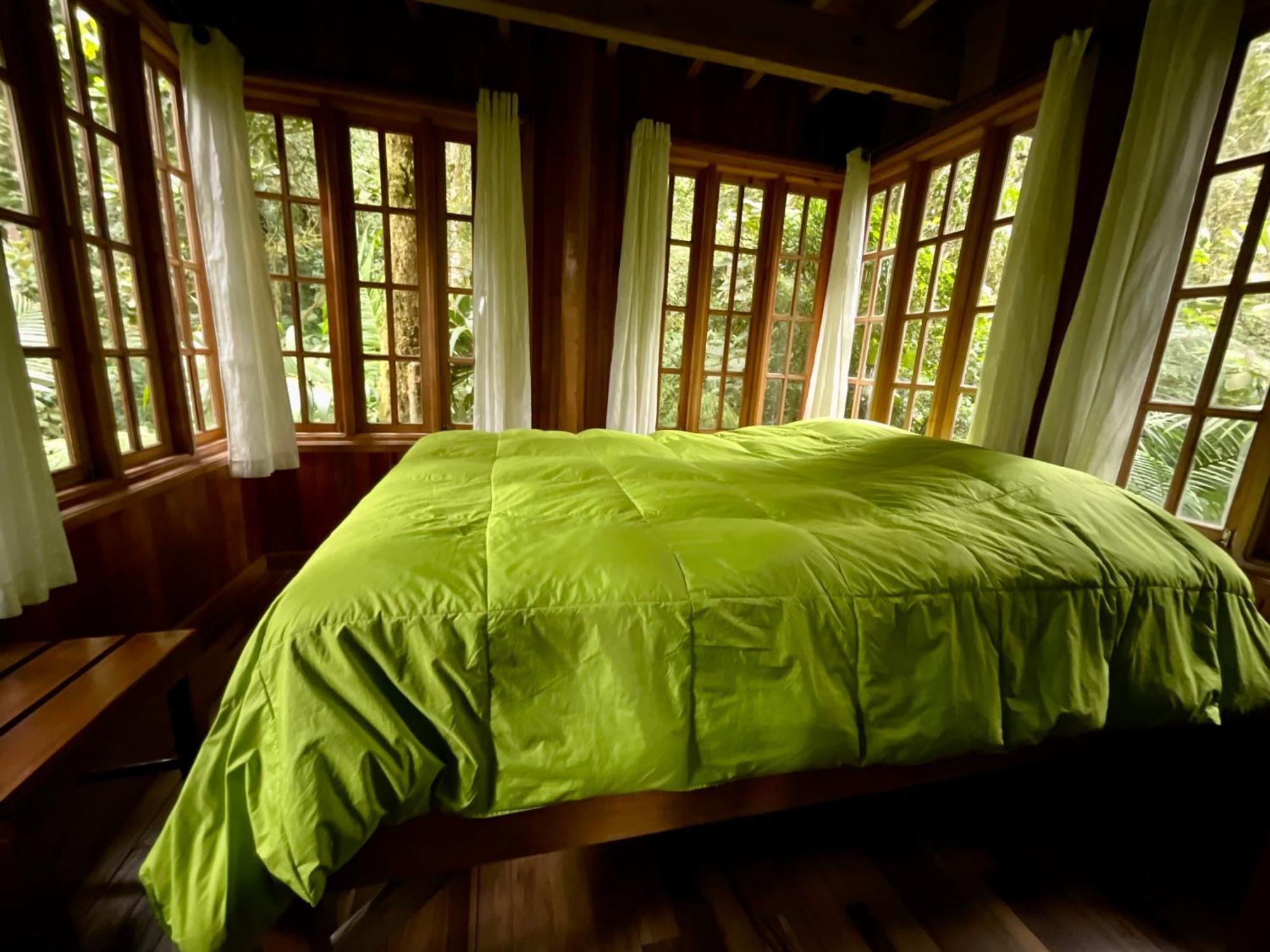 קארו פונטה Los Quetzales Ecolodge & Spa מראה חיצוני תמונה