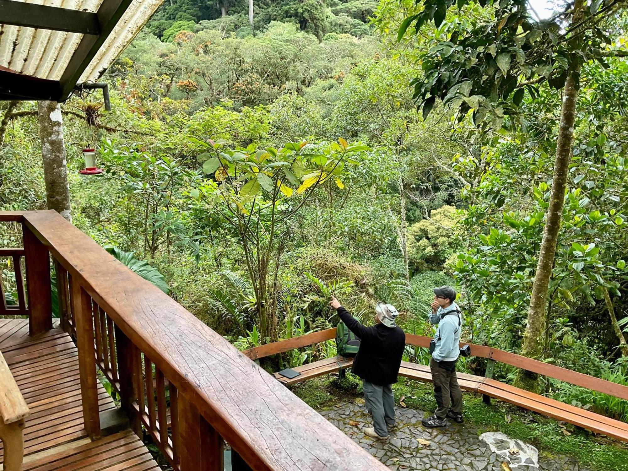 קארו פונטה Los Quetzales Ecolodge & Spa מראה חיצוני תמונה