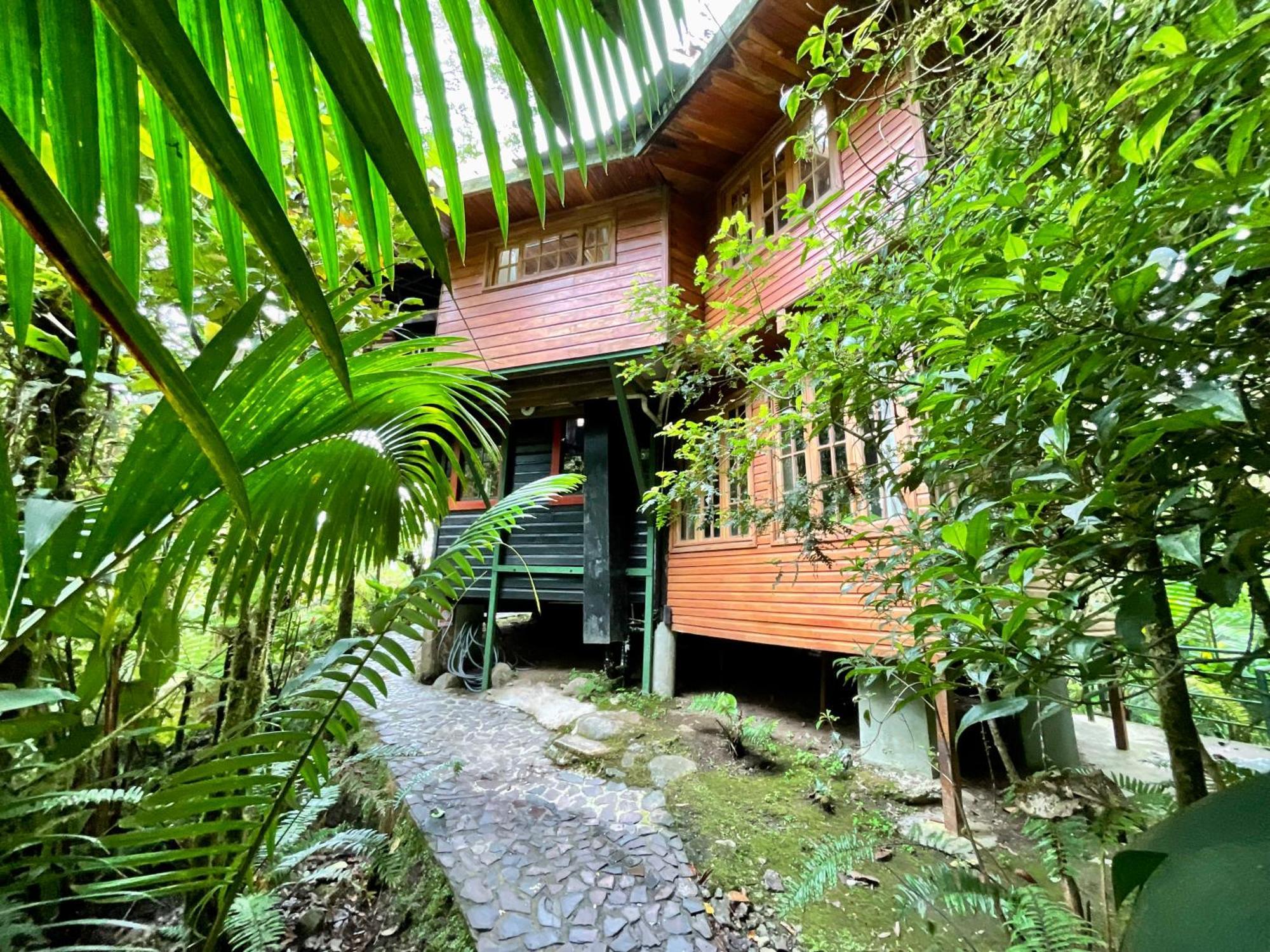 קארו פונטה Los Quetzales Ecolodge & Spa מראה חיצוני תמונה