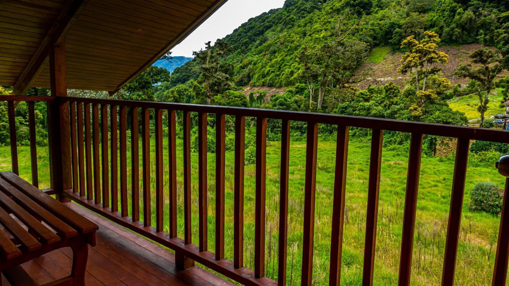 קארו פונטה Los Quetzales Ecolodge & Spa מראה חיצוני תמונה