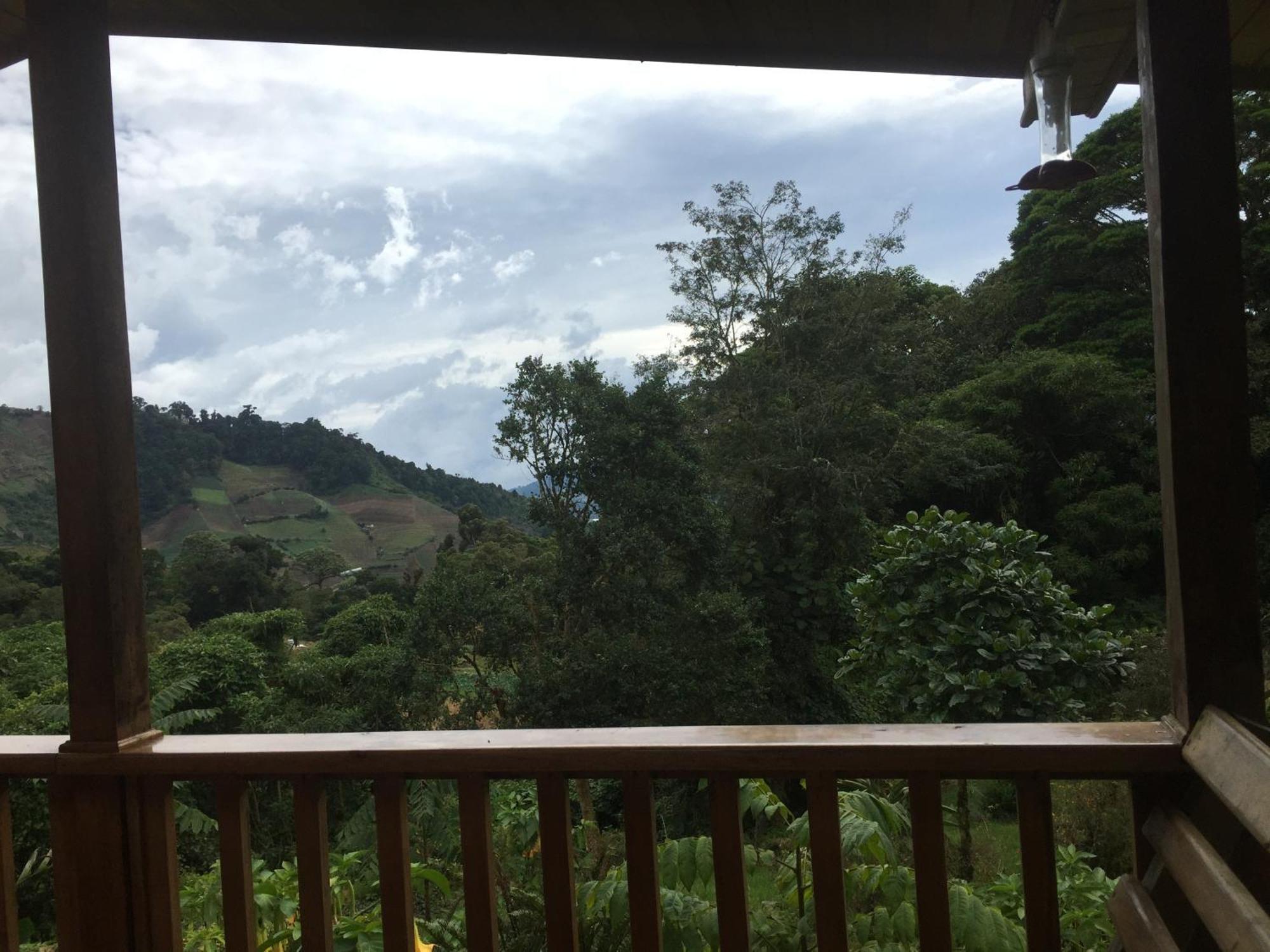 קארו פונטה Los Quetzales Ecolodge & Spa מראה חיצוני תמונה