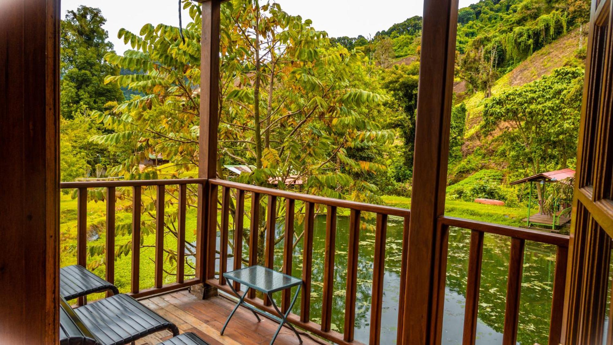 קארו פונטה Los Quetzales Ecolodge & Spa מראה חיצוני תמונה