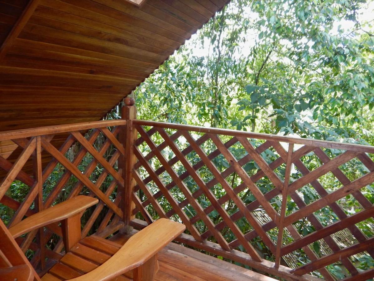 קארו פונטה Los Quetzales Ecolodge & Spa מראה חיצוני תמונה